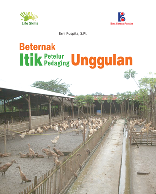 Beternak Itik Petelur & Pedaging Unggulan