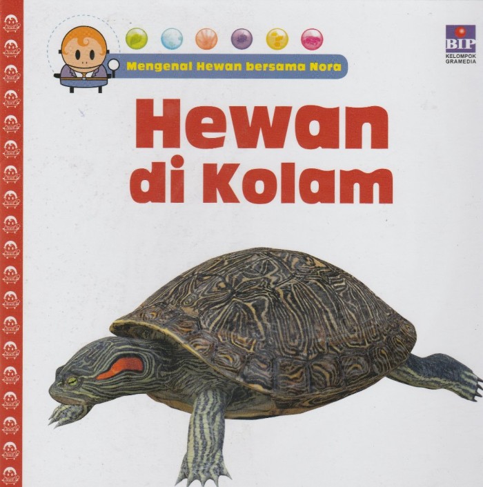 Mengenal Hewan bersama Nora : Hewan di Kolam