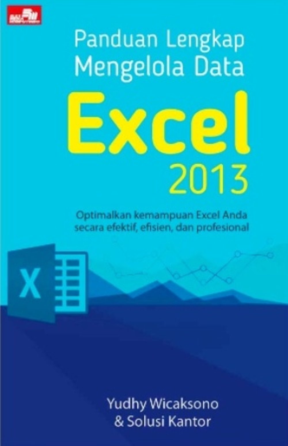 Panduan Lengkap Mengelola Data Excel 2013