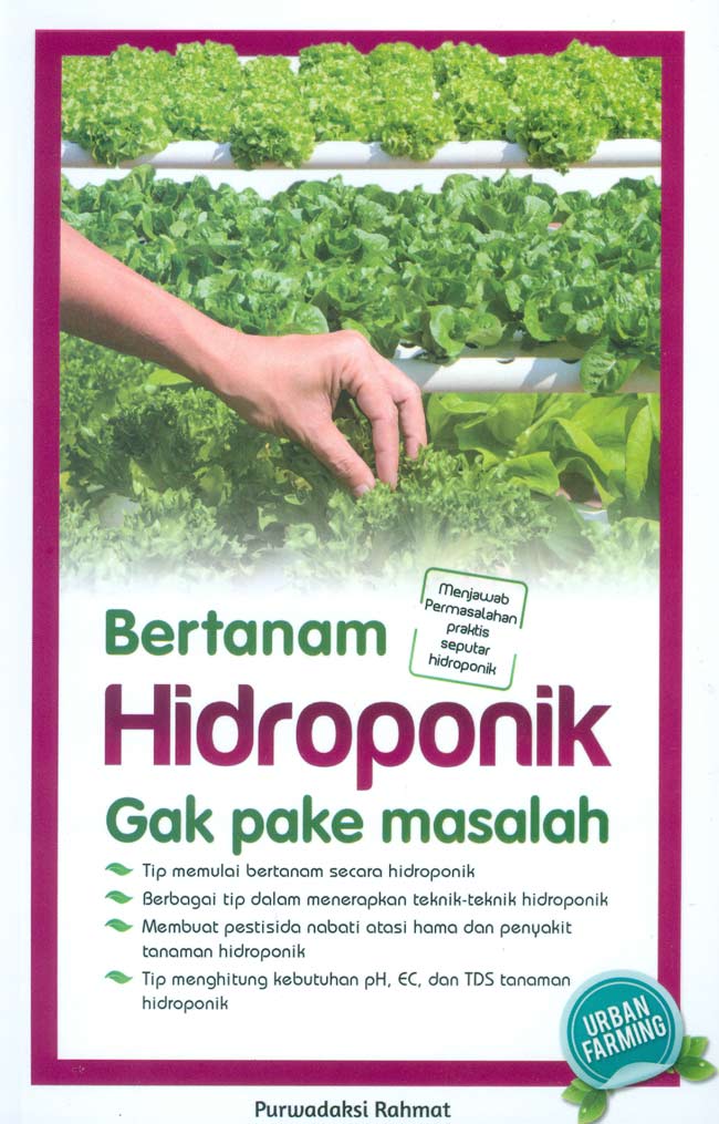 Bertanam hidroponik gak pake masalah