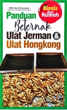 Panduan beternak ulat Jerman dan ulat Hongkong