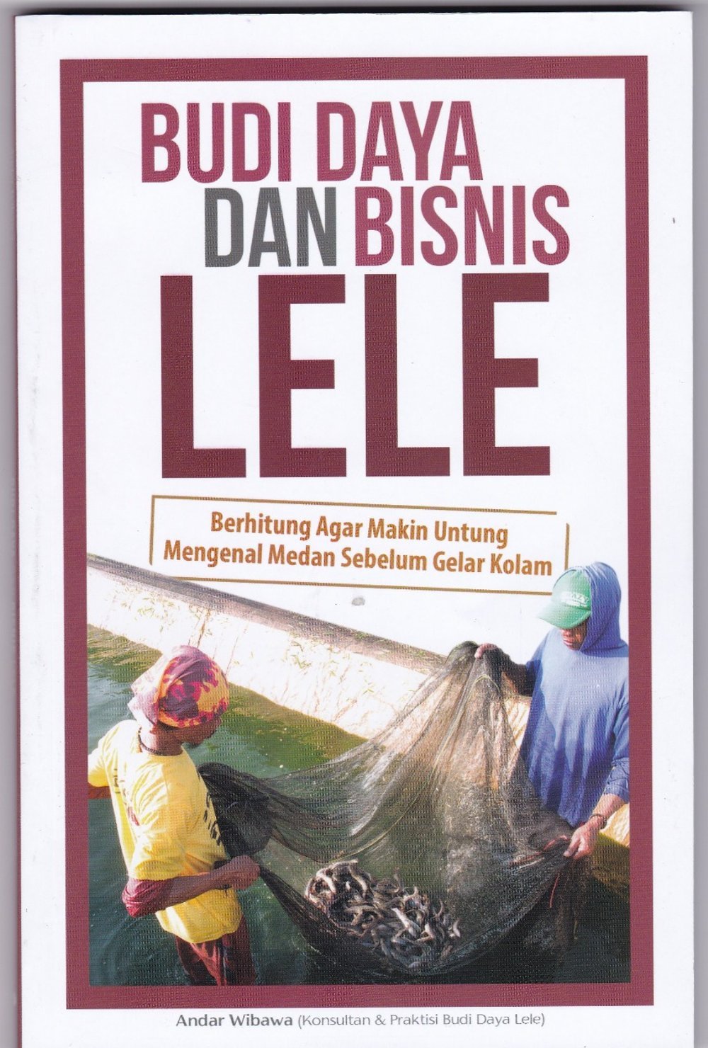 Budi Daya dan Bisnis Lele