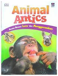 Animal Antics : Hewan-Hewan Lucu Dan Menggemaskan