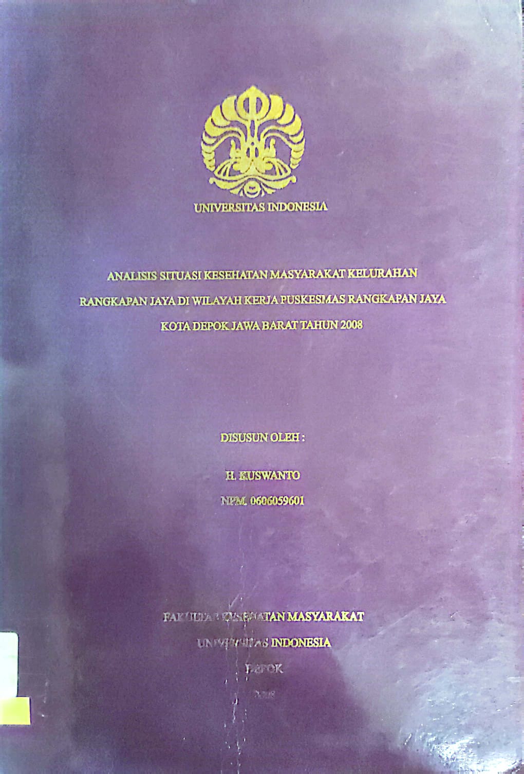 Analisis Situasi Kesehatan Kelurahan Rangkapan Jaya Wilayah Kerja Puskesmas Rangkapan Jaya Kota Depok Jawa Barat tahun 2008