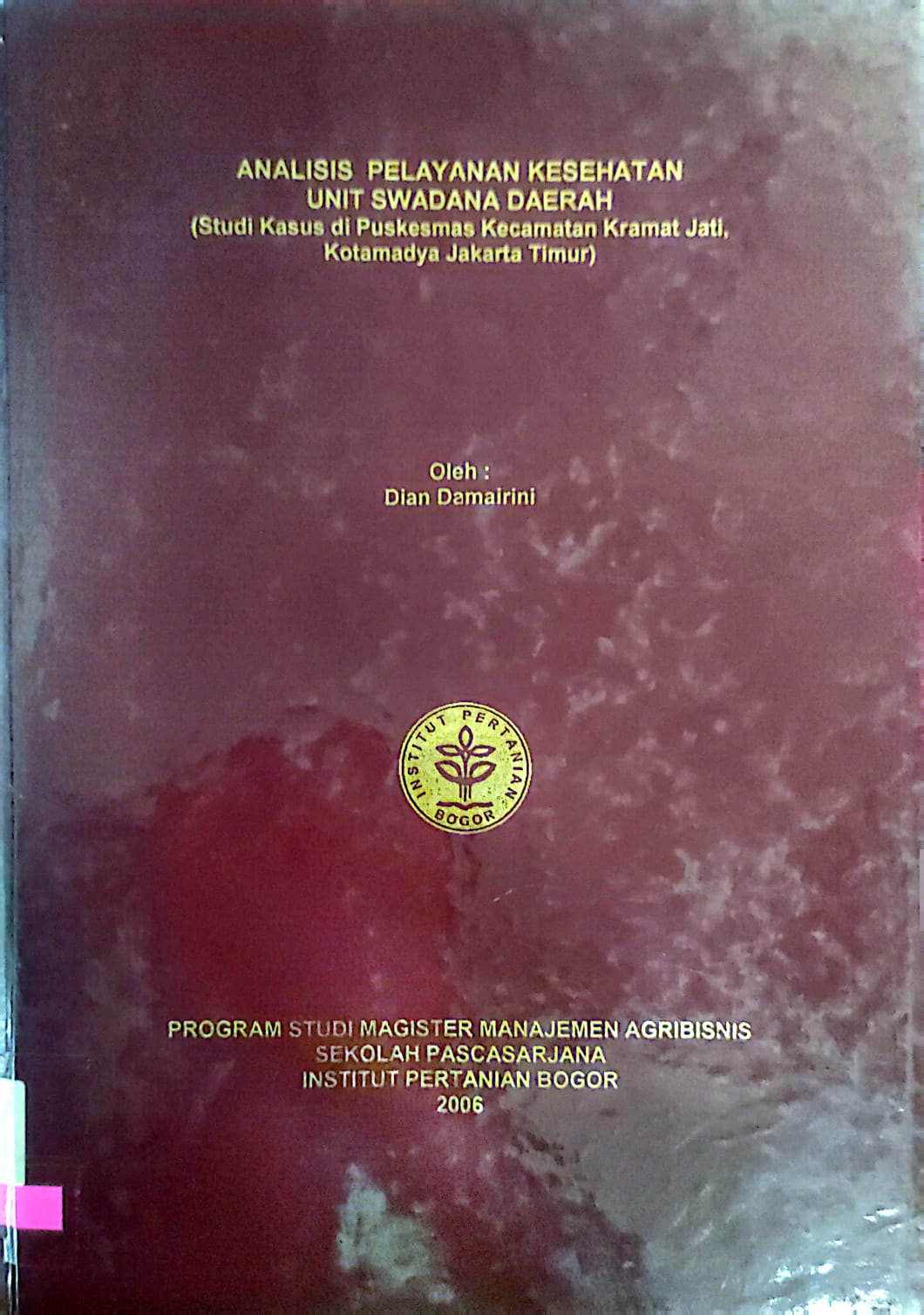 Analisis Pelayanan Kesehatan Unit Swadaya Daerah (Studi Kasus di Puskesmas Kecamatan Kramat Jati, Kotamadya Jakarta Timur) / Dian Damairini