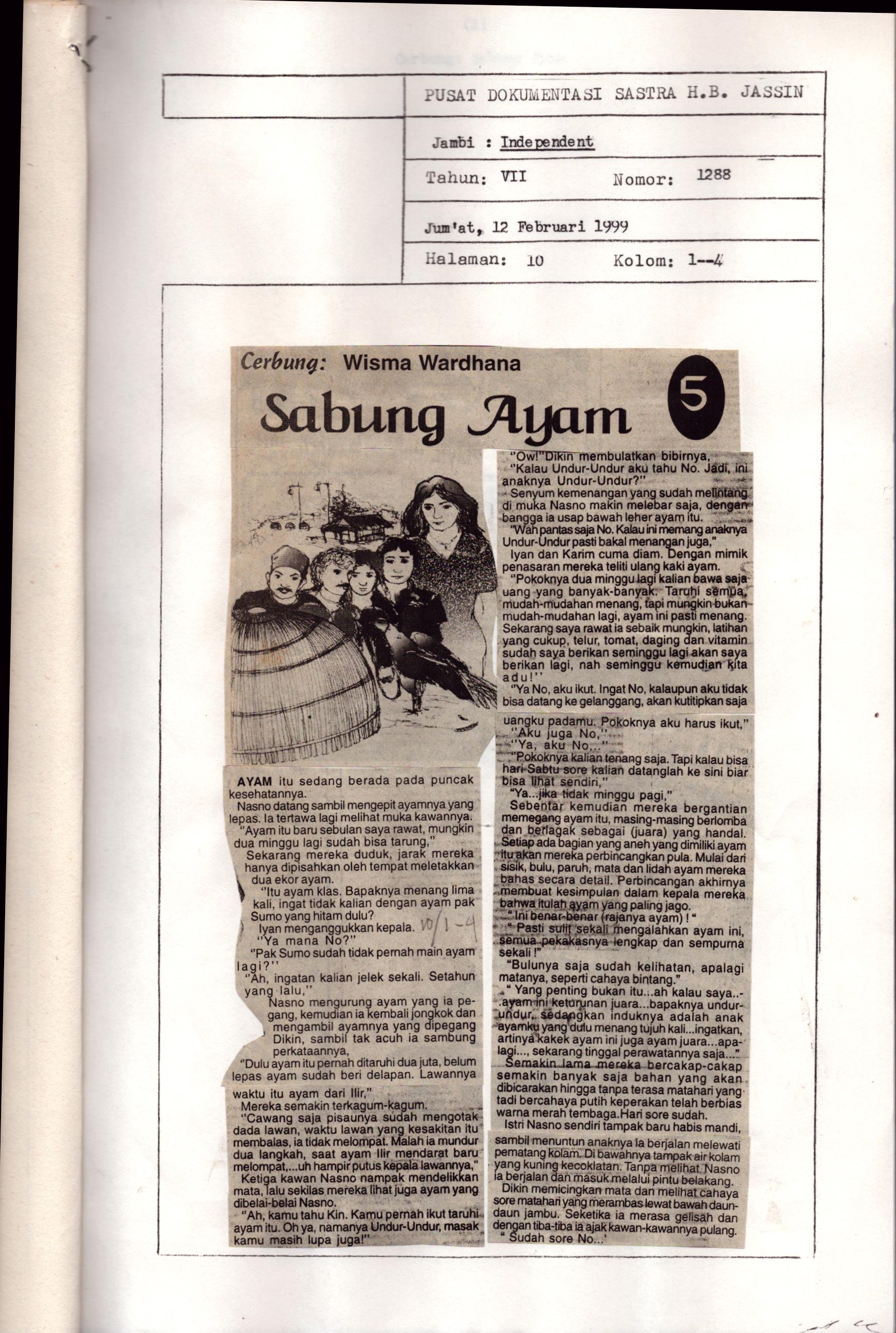 Sabung ayam (5)