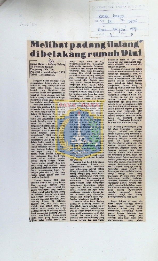 Melihat padang ilalang dibelakang rumah Dini